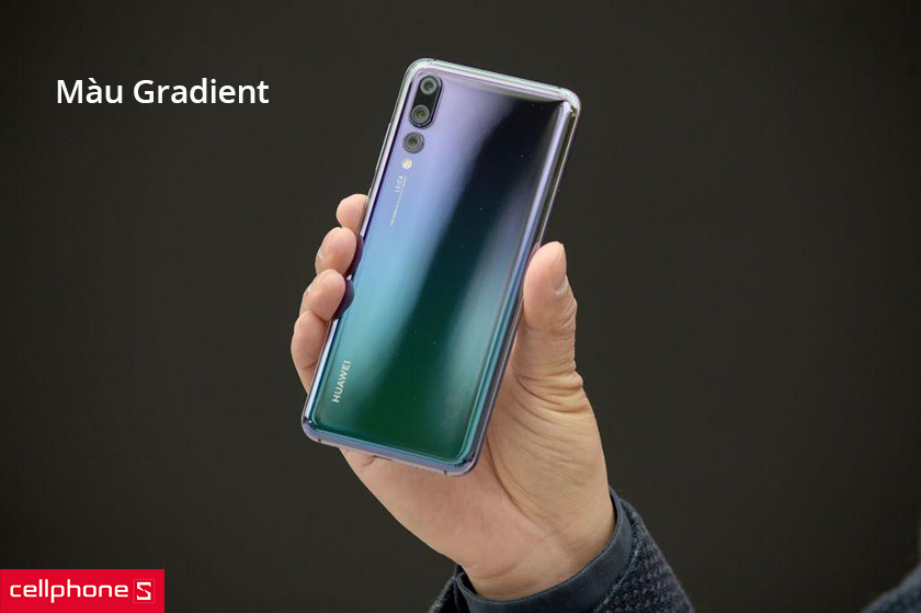 thiết kế mặt lưng Gradient