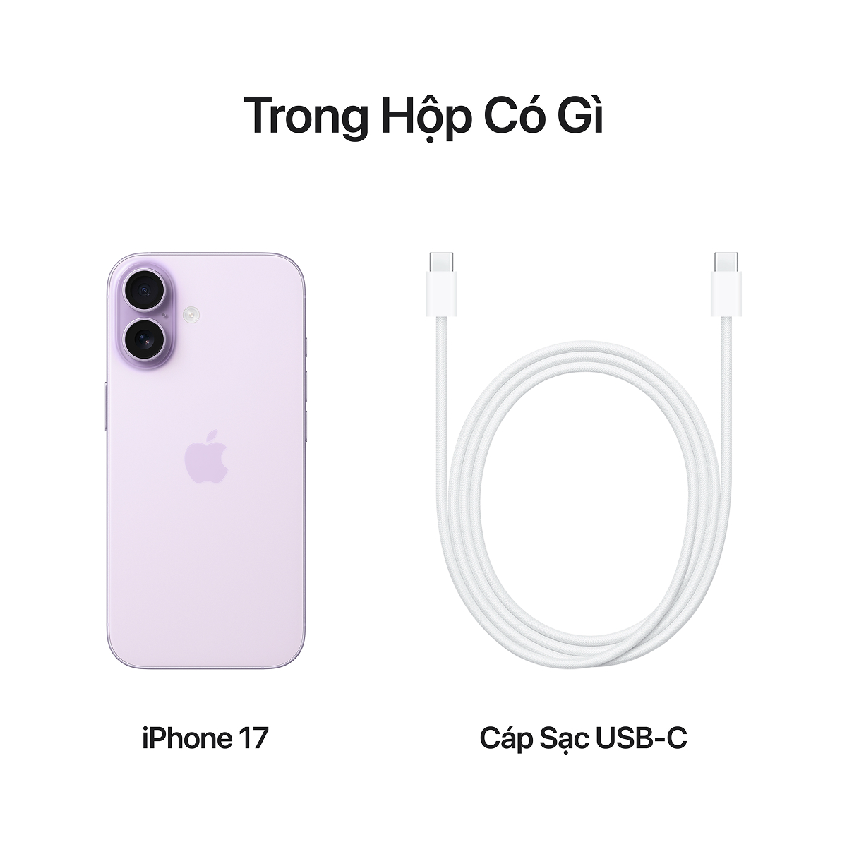 iPhone 17 256GB | Chính hãng