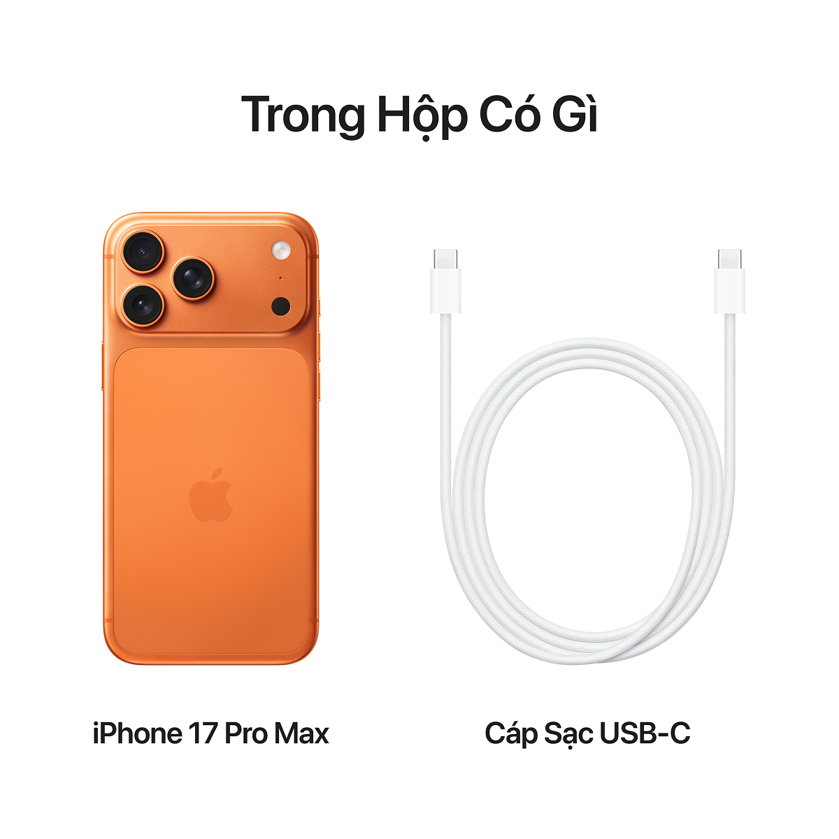 iPhone 17 Pro Max 256GB | Chính hãng