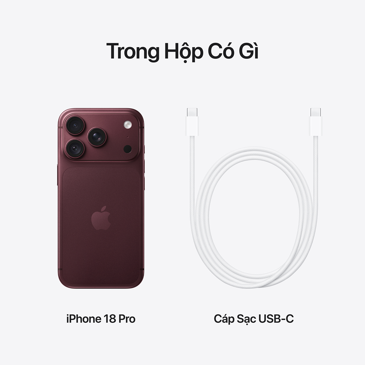 iPhone 18 Pro 1TB