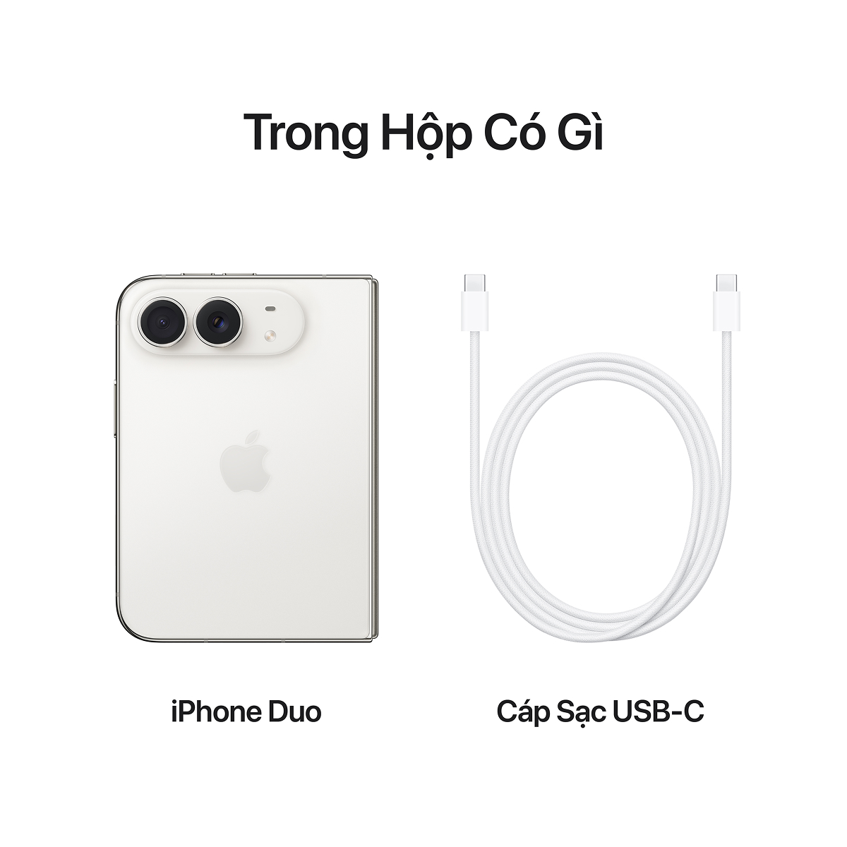 iPhone Duo 256GB