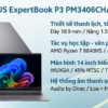 Laptop ASUS ExpertBook P3 PM3406CHA-LY0089W