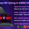 Laptop MSI Cyborg 14 A13UDX-099VN