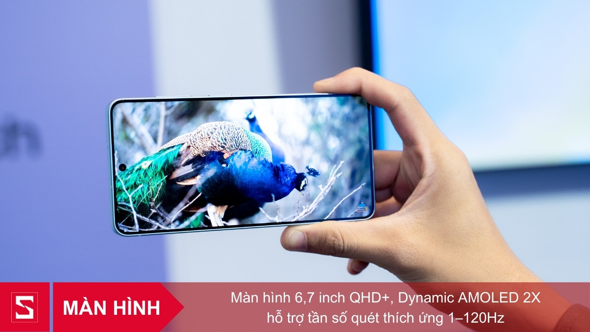 Tấm nền đạt chuẩn QHD+ cùng tần số 120Hz